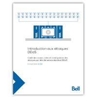 Introduction aux attaques DDoS : Guide des causes, coûts et conséquences des attaques par DDoS Introduction aux attaques DDoS : Guide des causes, coûts et conséquences des attaques par DDoS