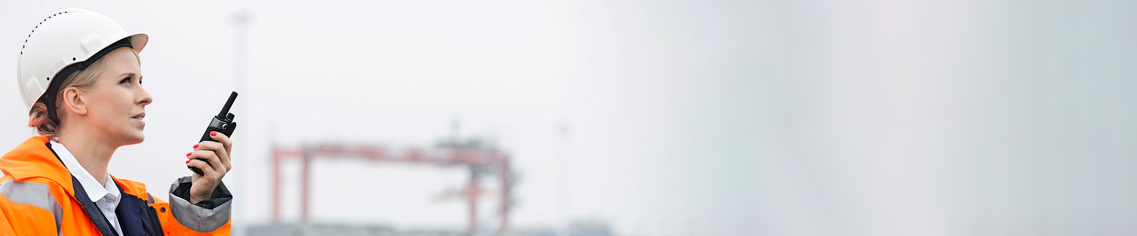 This is an banner image