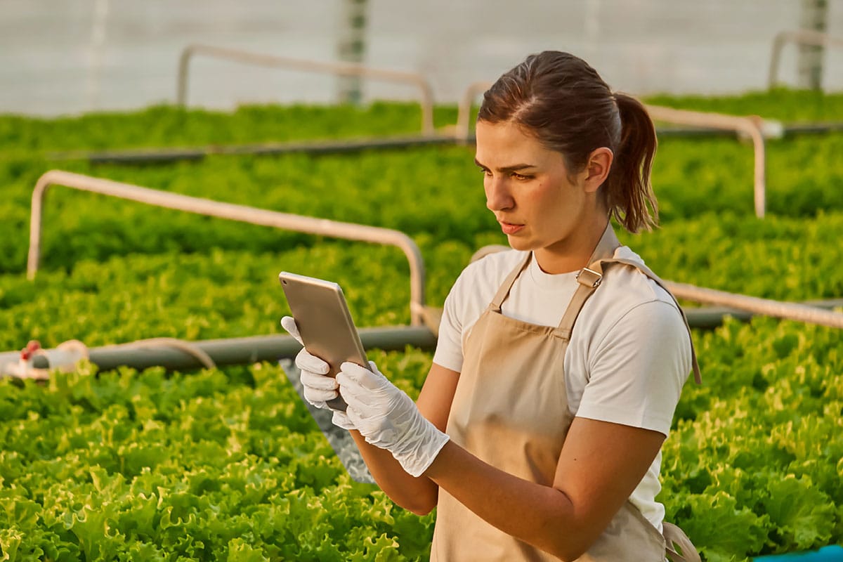 Une agricultrice portant des gants de protection et utilisant une tablette pour surveiller les cultures à l'intérieur d'une serre moderne et lumineuse.